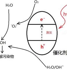 光催化剂催化降解过程的机理简图