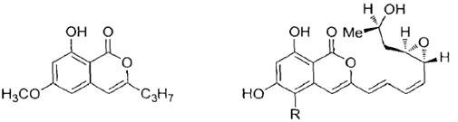 Glomellin ，paraphaeosphaerins A和chaetochiversins A