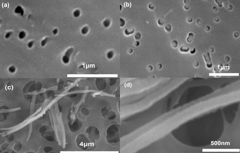 扫描电镜(SEM)表征（a）空白PC膜，（b）有机无机复合介孔膜，（c，d）棒状材料