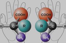 手性分子示意图
