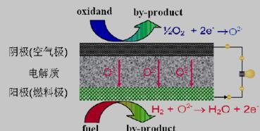 SOFC工作原理示意图