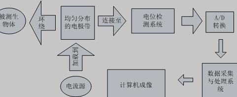 EIT系统整体架构