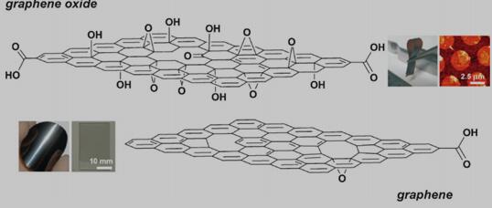 石墨烯（graphene）和氧化石墨烯（GO）的结构示意图[