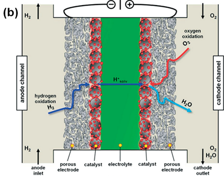 PEMFC的单池组成以及工作原理示意图